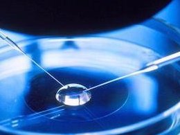 三代试管婴儿价格揭晓 附价格表