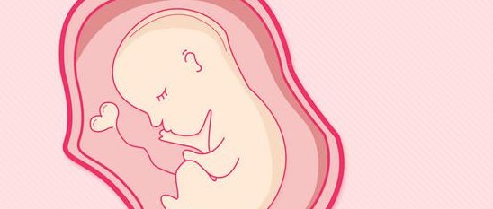 福州人工受孕费用大概要多少钱？