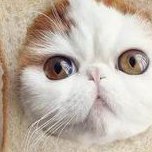 2026亳州试管婴儿医院排名，附成功率及费用介绍