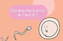 试管婴儿长效长方案多少？